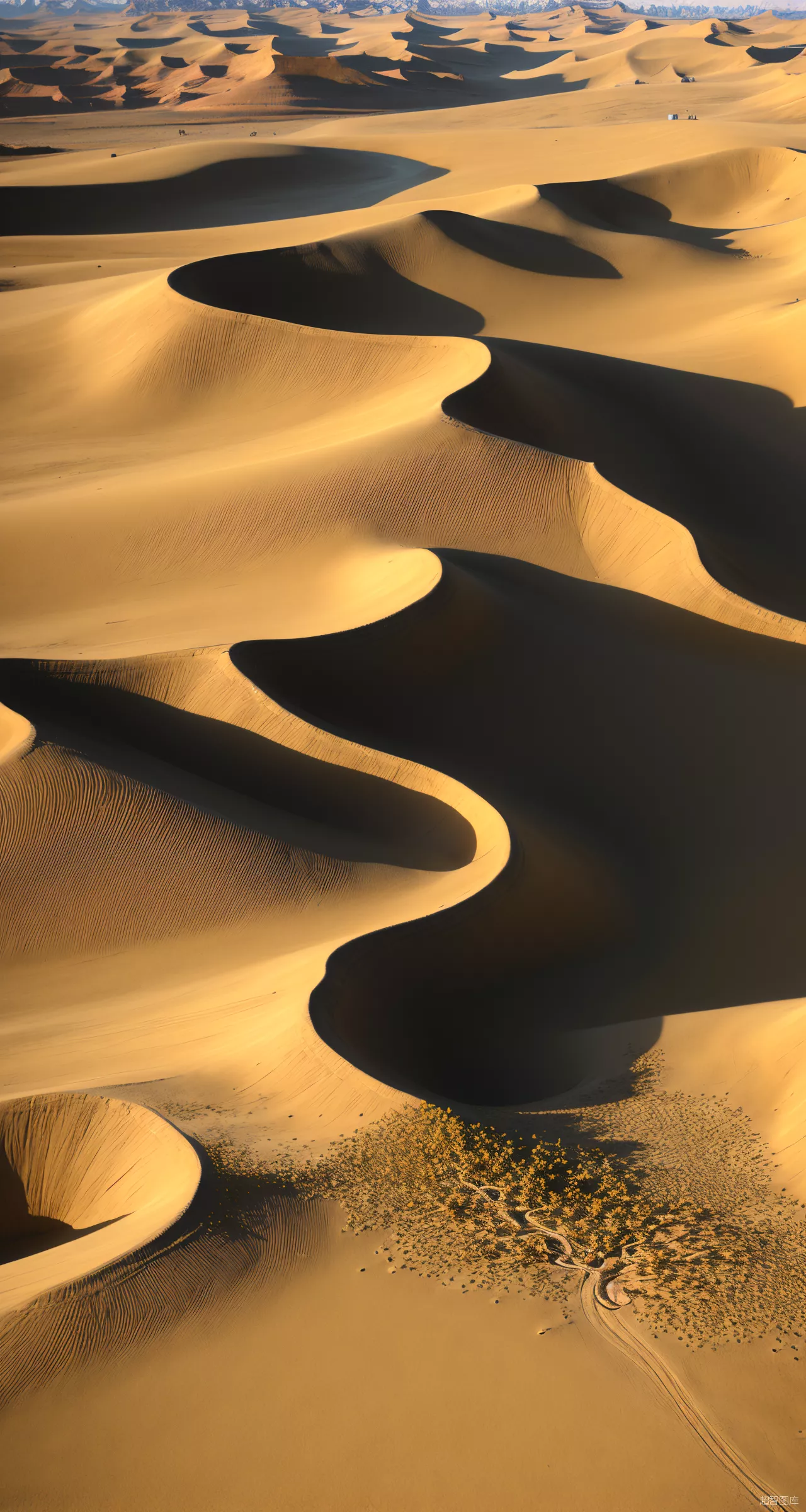 沙漠风景壁纸壁纸